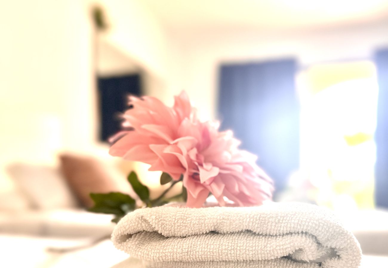 Estudio en Los Cristianos - Pacific Harbor: Pool View