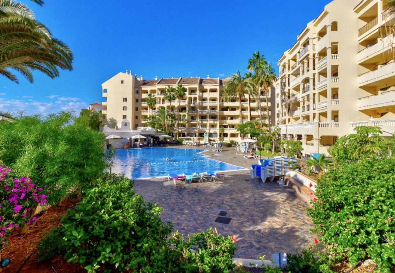 Studio a Los Cristianos - Sunny View Los Cristianos