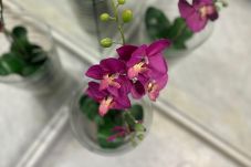 Appartamento a Los Cristianos - Heated Poolside Paradise Los Cristianos